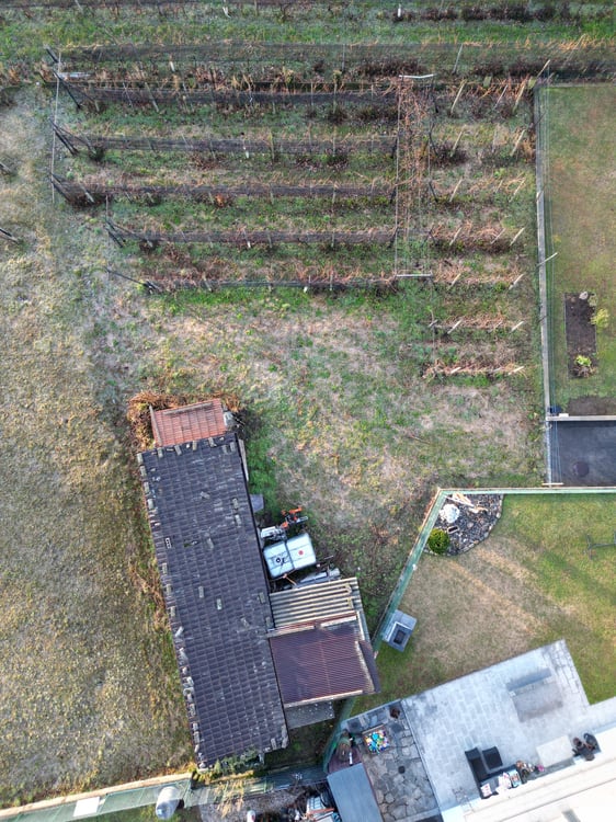 TERRENO EDIFICABILE A CASTEL SAN PIETRO CON PROGETTO APPROVATO – IL TUO SOGNO DI CASA MODERNA 15
