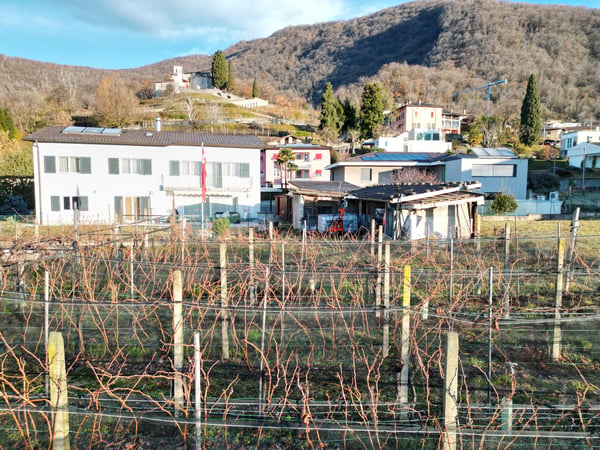 TERRENO EDIFICABILE A CASTEL SAN PIETRO CON PROGETTO APPROVATO – IL TUO SOGNO DI CASA MODERNA 20