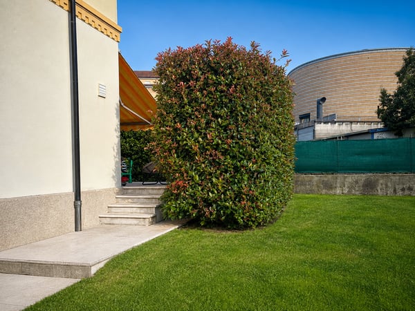 NUOVO POSIZIONAMENTO SUL MERCATO - Villa indipendente d’epoca con giardino nel centro di Mendrisio 13