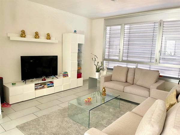 Luminoso Trilocale a reddito 1