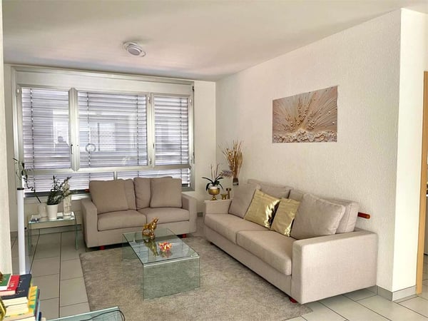 Luminoso Trilocale a reddito 2