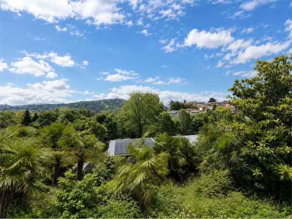 Terreno Edificabile - Cassina d'Agno 2