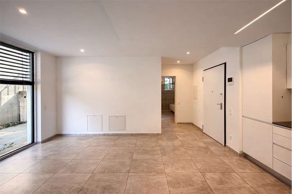 2,5 locali con giardino - Carabbia 3