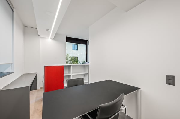 UFFICIO DI RAPPRESENTANZA IN CENTRO LUGANO 4