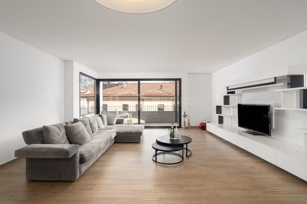 SPLENDIDO 1.5 LOCALI PARZIALMENTE AMMOBILIATO 2