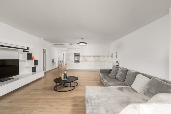 SPLENDIDO 1.5 LOCALI PARZIALMENTE AMMOBILIATO 3