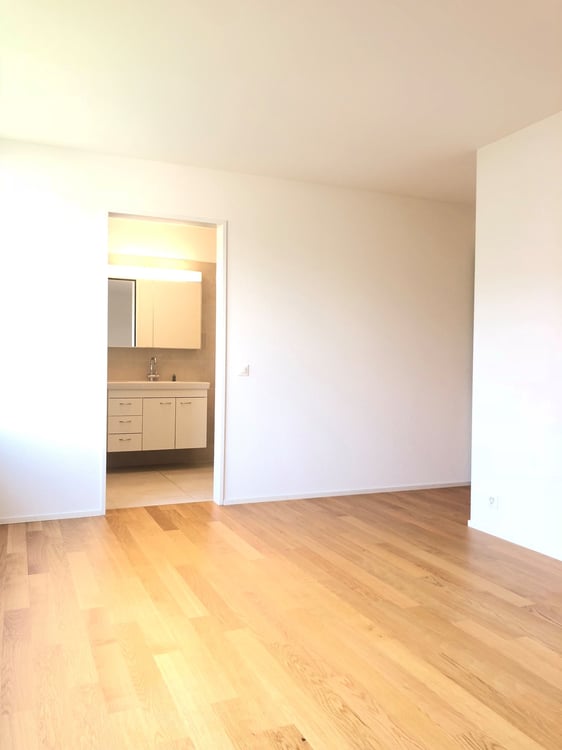 Traumwohnung im Neuhushof in 6011 Luzern-Littau 9