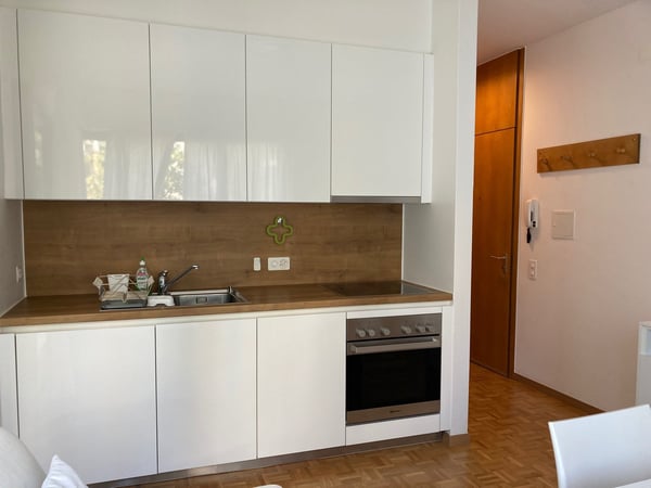 Lugano, monolocale ammobiliato in zona tranquilla 5