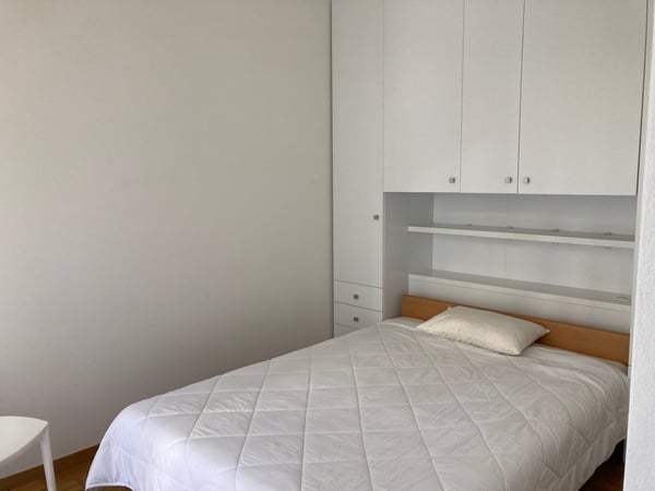 Lugano, monolocale ammobiliato in zona tranquilla 3