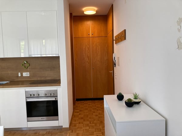 Lugano, monolocale ammobiliato in zona tranquilla 4