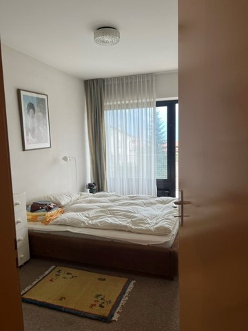 Appartamento di vacanza 1 locali a Muralto 2