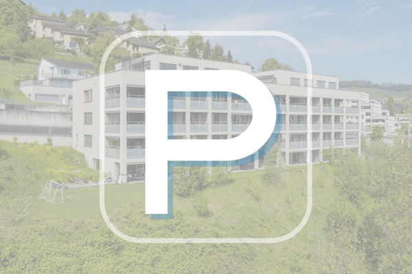 Einstellhallenparkplatz in Kriens 1