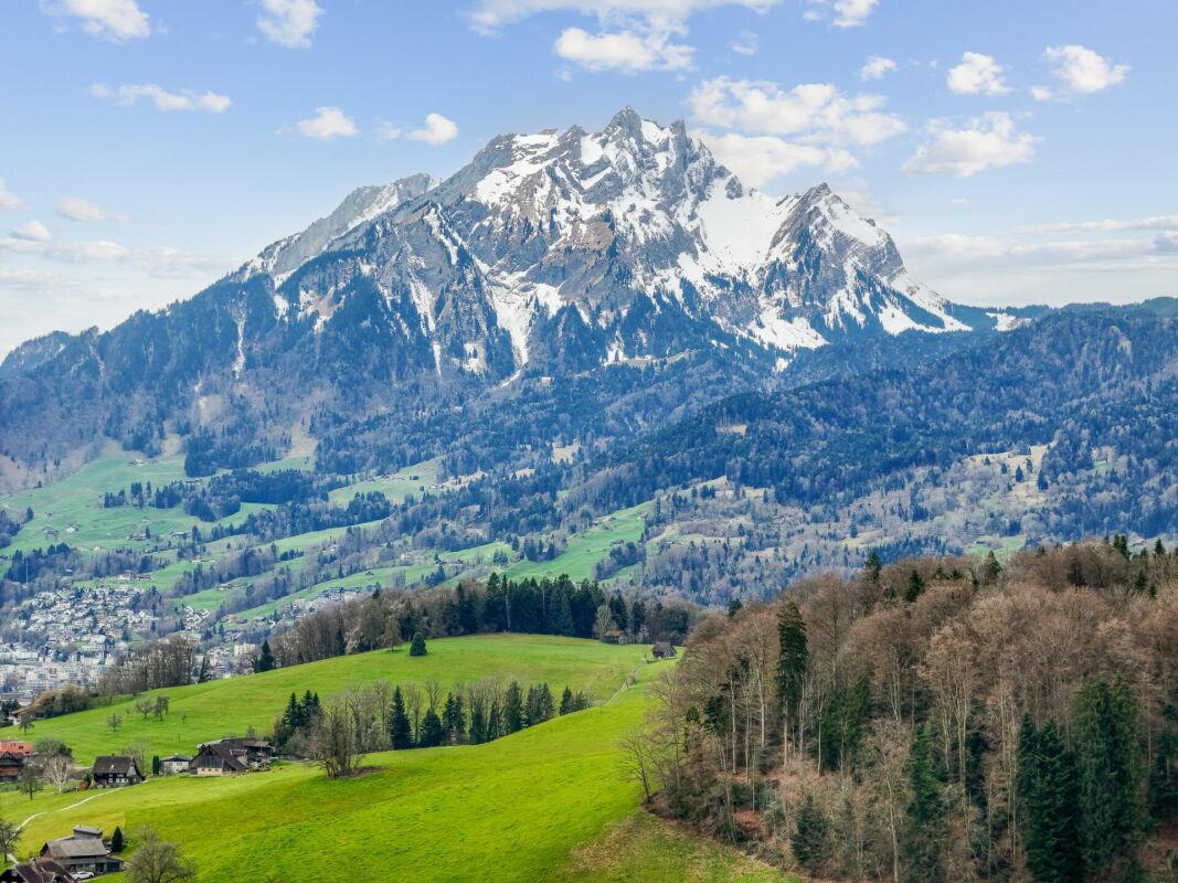 Perle am See: Exklusive Doppelhaushälfte im Villenstil