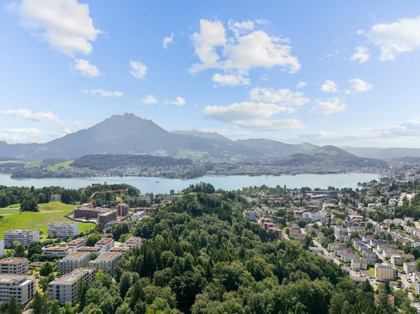 Wohnen im Grünen mit Pilatusblick: Helle 5.5-Zimmer-Wohnung mit zwei Balkonen 8