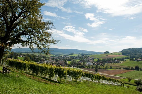 Erschlossenes Bauland für Ihr Investment ! 6