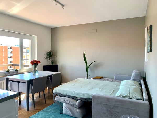 1.5 locali davanti all'università USI 12