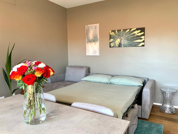 1.5 locali davanti all'università USI 6