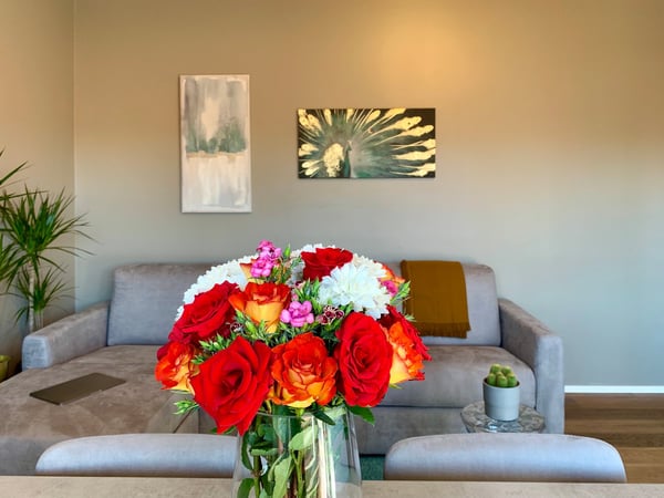 1.5 locali davanti all'università USI 3