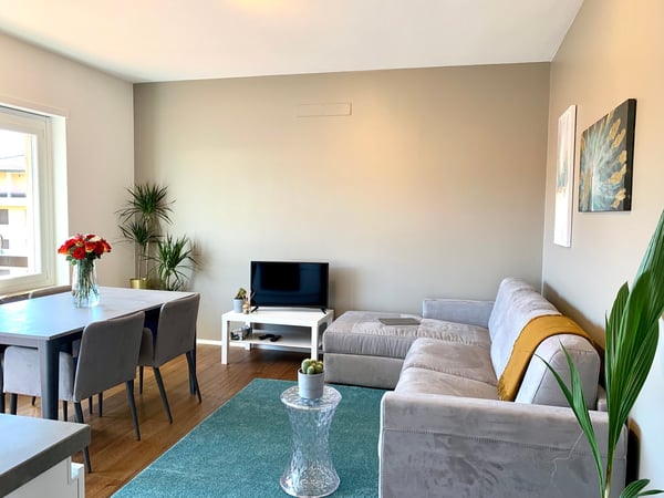 1.5 locali davanti all'università USI 4