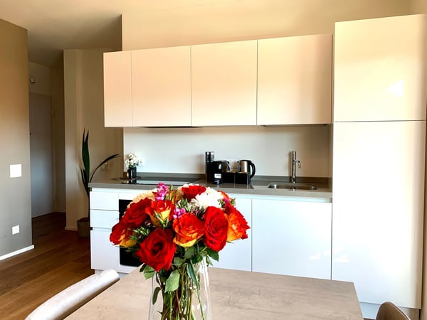 1.5 locali davanti all'università USI 9