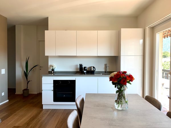 1.5 locali davanti all'università USI 1