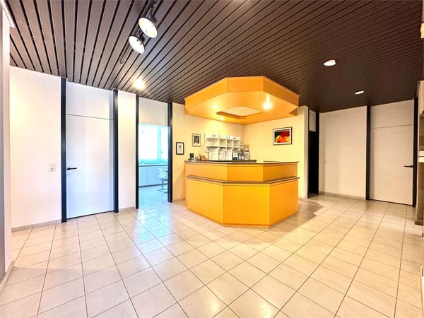 Pregssona STUDIO/SPAZIO COMMERCIALE 280 mq 2