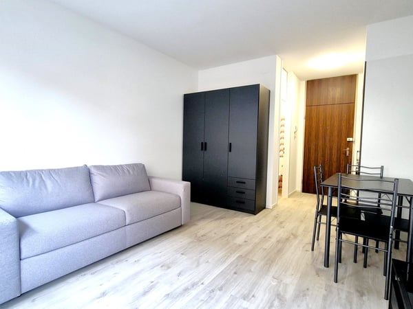 Grazioso 2.5 locali completamente arredato 3