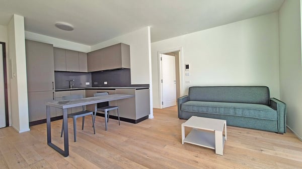 Appartamento nuovo di 1.5 locali anche come B&B e casa vacanza 2
