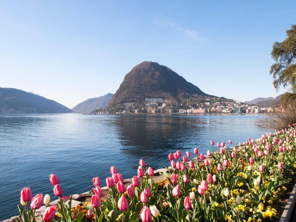 Private Opportunities | Exclusive Villas and Penthouses in Lugano Area 18