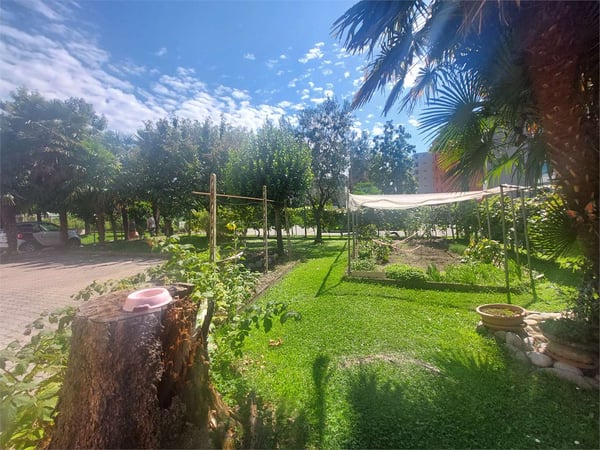 Terreno edificabile con casa esistente in zona servita - Pregassona 1