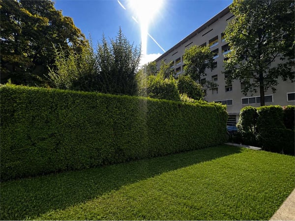 Rif. 2703 Lugano in affitto ampio 2.5 locali con giardino privato 1