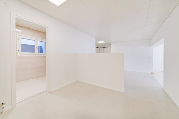 Bellissimo loft ristrutturato di 120 mq a Cadro 2
