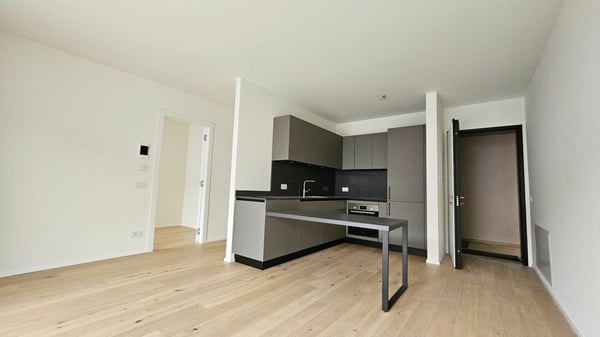 NUOVO E MODERNO 1.5 LOCALI ULTIMO PIANO 3