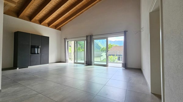 AMPIO APPARTAMENTO 1.5 LOCALI 3