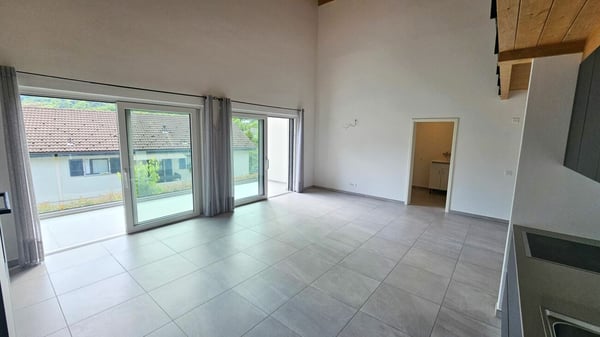 AMPIO APPARTAMENTO 1.5 LOCALI 4