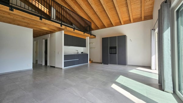 AMPIO APPARTAMENTO 1.5 LOCALI 1