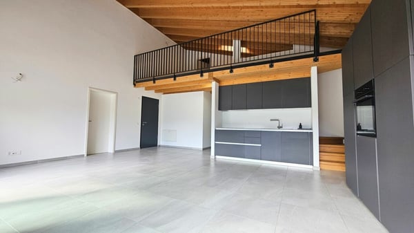 AMPIO APPARTAMENTO 1.5 LOCALI 2