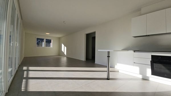 AMPIO E MODERNO APPARTAMENTO A MALVAGLIA 8
