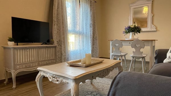 AMMOBILIATO 1.5 DI GRANDE CHARME, RICERCATO, SILENZIOSO 13