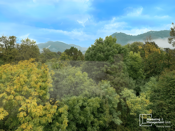 1.5 LOCALI, MODERNO E SIGNORILE ATTICO, PANORAMICO, NEL VERDE 13