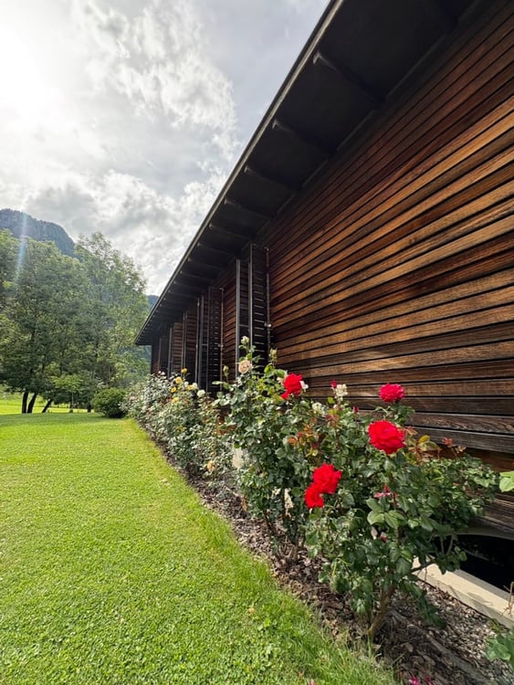 Casa di design in legno immersa nel verde 18