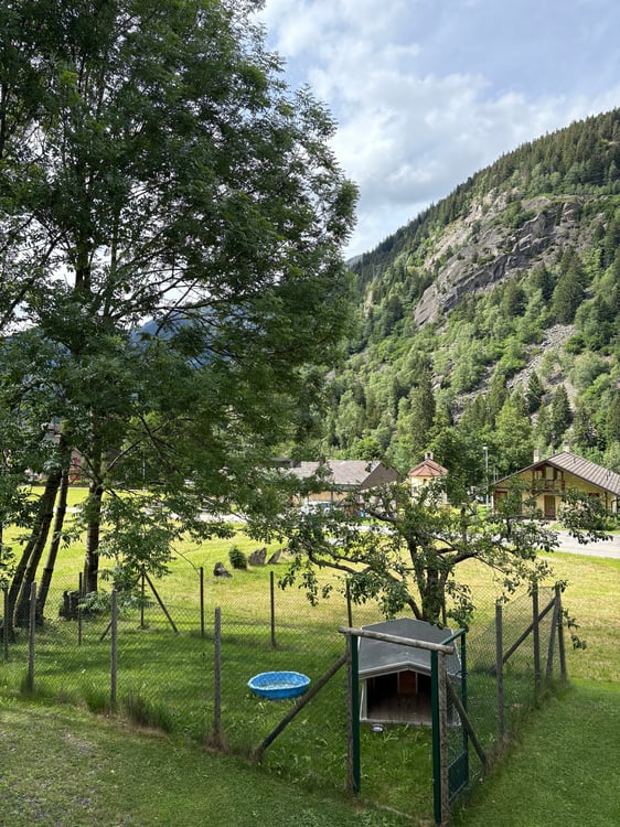 Casa di design in legno immersa nel verde 17