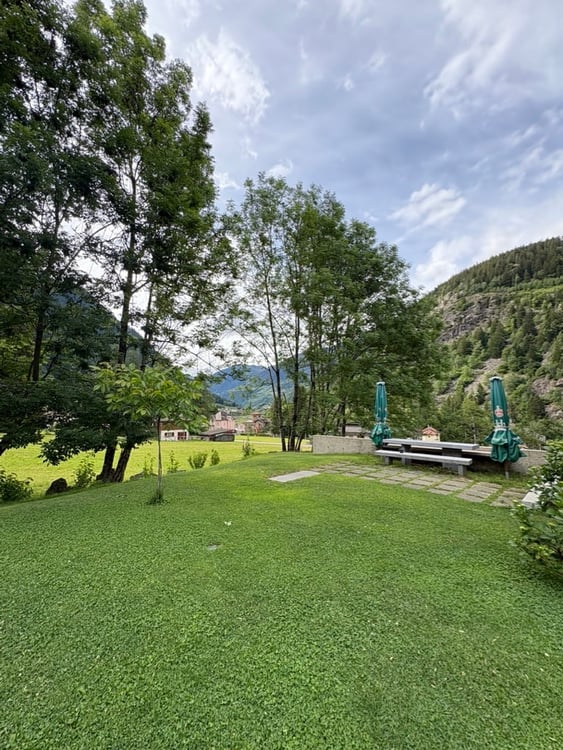 Casa di design in legno immersa nel verde 15
