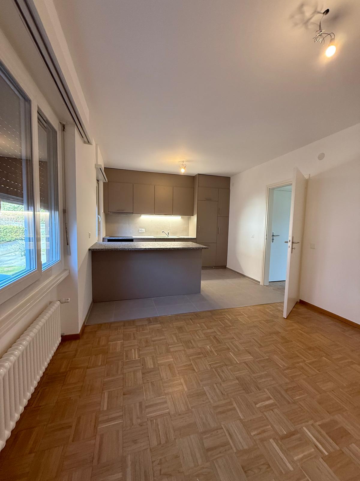 kitchen and living room, wooden floor, grey kitchen cabinets, kitchen island, open to living room, kitchen with sink, large window