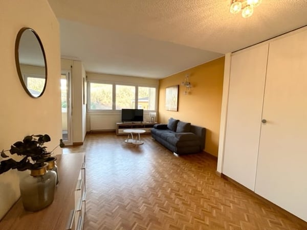 Appartamento 1.5 locali ammobiliato vicinanze Università 2