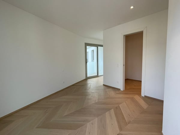 Attico di lusso con terrazza e jacuzzi a Massagno – Disponibile subito 22