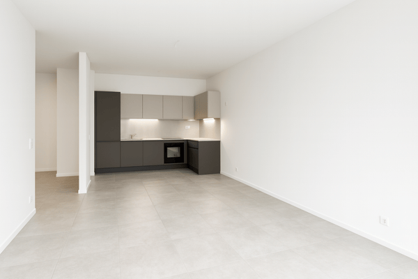 LUGANO - 2.5 LOCALI CENTRALE CON GIARDINO E LOCALE HOBBY 2