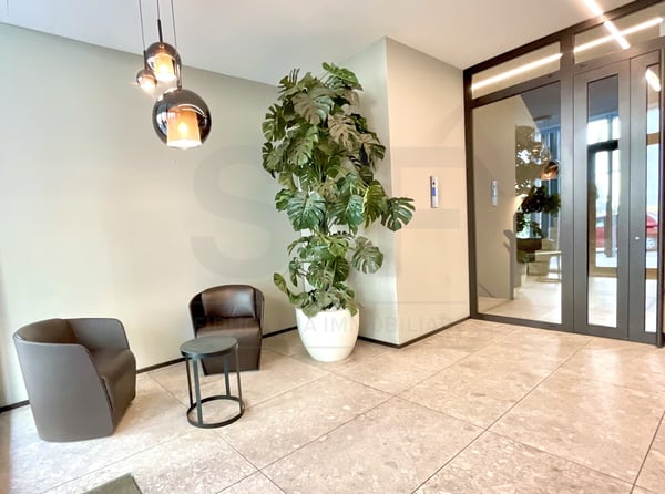 MASSAGNO - AFFITTASI LUSSUOSI 2.5 LOCALI ARREDATI 9