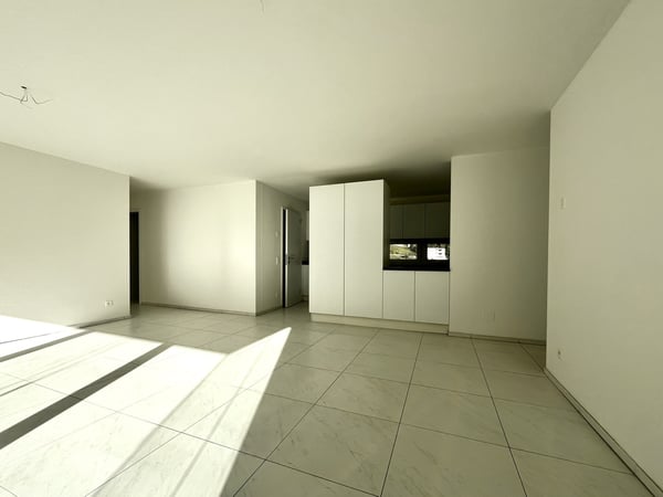 RIVERA - AFFITTASI 4.5 LOCALI CON TERRAZZA VETRATA 6