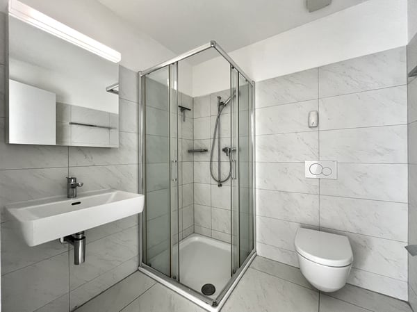 RIVERA - AFFITTASI 4.5 LOCALI CON TERRAZZA VETRATA 9